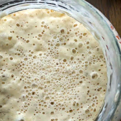 The science behind sourdough and tips for easy maintenance of a sourdough starter.